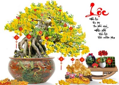 Tải file File tranh chậu mai bonsai 621BS (ảnh gốc) in tráng gương