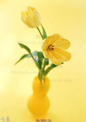 File tranh file gốc bình hoa B231 (bản gốc) treo phòng ăn