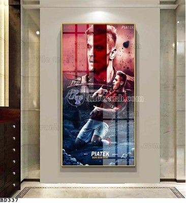 File tranh File tranh treo bóng đá BD336 (gốc) chủ đề tĩnh vật