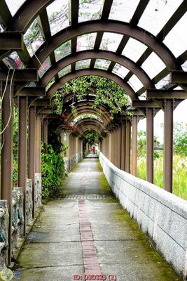 File gốc File lối vào D3D333 (thiết kế) cho in ấn