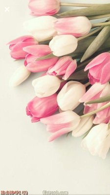 Chi tiết file tranh tráng gương File tranh đứng lối vào D3D471 (ảnh gốc)