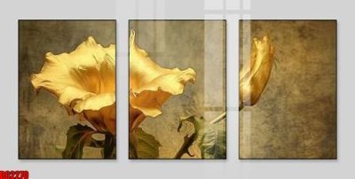 Download file tranh PSD File gốc in bộ tranh decor treo tường đẹp hoa 5d DC2270 để chỉnh sửa