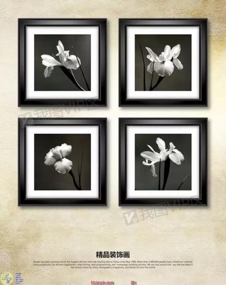 File gốc Tranh treo hoa đen trắngDC42 (PNG) nền trong suốt