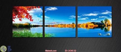 File in mica Tranh treo hiện đại DC46 (ảnh gốc) đẹp