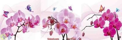 Mua file ảnh gốc Tranh hoa lan tím DC89 (chất lượng cao)