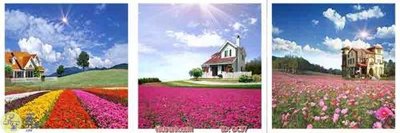 Download file gốc Tranh cánh đồng hoa DC97 (in mica) trong suốt