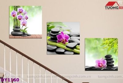 Tải file Tranh trang trí đông y dưỡng sinh spa môi mi DY1160 (ảnh gốc) độ phân giải 300dpi