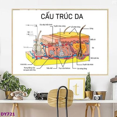 Tải file Tranh trang trí đông y dưỡng sinh spa môi mi DY721 (gốc) làm file in ấn