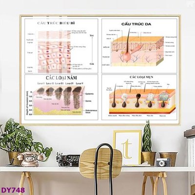 File gốc Tranh trang trí đông y dưỡng sinh spa môi mi DY748 (trang trí) phòng ngủ