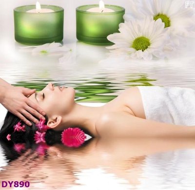 File ảnh Tranh trang trí đông y dưỡng sinh spa môi mi DY890 (gốc) in PP, decal