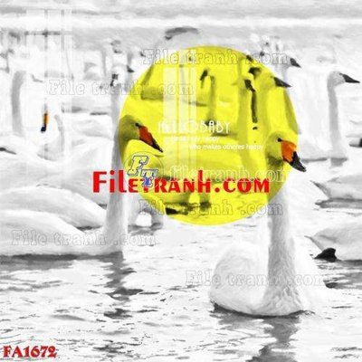 File gốc File gốc in bộ tranh decor treo tráng gương canvas FA1672 (thiết kế) độc quyền