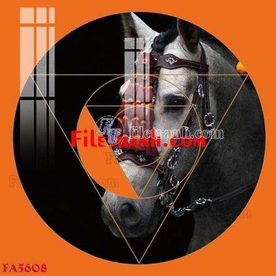 Tải file File gốc in bộ tranh decor treo tráng gương canvas FA5608 (ảnh gốc) file TIFF