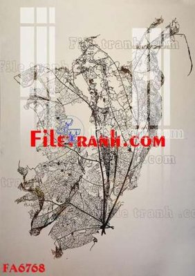 File in mica File gốc in bộ tranh decor treo tráng gương canvas FA6768 (bản gốc) sắc sảo