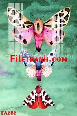 File tranh File gốc in bộ tranh decor treo tráng gương canvas FA686 (ảnh gốc) độ nét vượt trội