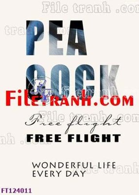 File ảnh File tranh bộ hiện đại FT124011 (gốc) in PP, decal