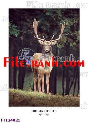 Hình ảnh file gốc in lụa File tranh bộ hiện đại FT124021