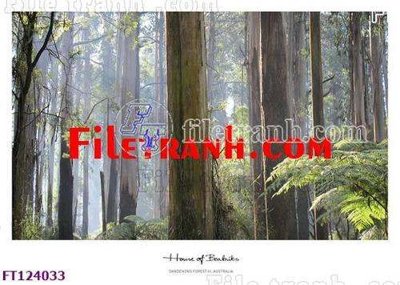 File gốc File tranh bộ hiện đại FT124033 (in tráng gương) sang trọng