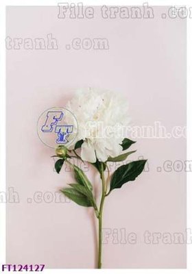 File in trần File tranh bộ hiện đại FT124127 (bản gốc) hoa văn