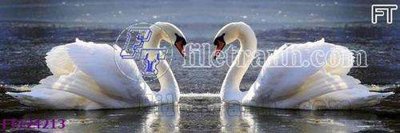 Tải file File tranh bộ hiện đại FT124213 (ảnh gốc) in tráng gương