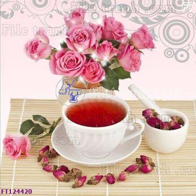 File tranh gốc in trần nhà File tranh bộ hiện đại FT124420 3D