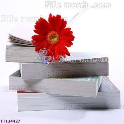 File tranh File tranh bộ hiện đại FT124427 (gốc) in film