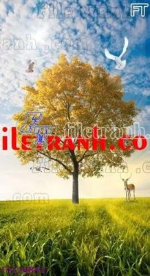 File gốc File tranh bộ hiện đại FT124842 (dành cho trang trí nội thất)