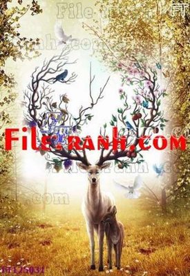 File tranh File tranh bộ hiện đại FT125031 (ảnh gốc) độc quyền