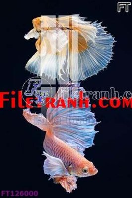 Tải file gốc File tranh bộ hiện đại FT126000 (để in lụa)