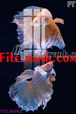 Tệp tin gốc File tranh bộ hiện đại FT126002 (dùng cho in) File tranh bộ hiện đại FT126002