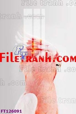 File in trần File tranh bộ hiện đại FT126091 (file gốc) chủ đề vũ trụ
