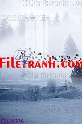 File tranh File tranh bộ hiện đại FT126239 (gốc) chủ đề tĩnh vật