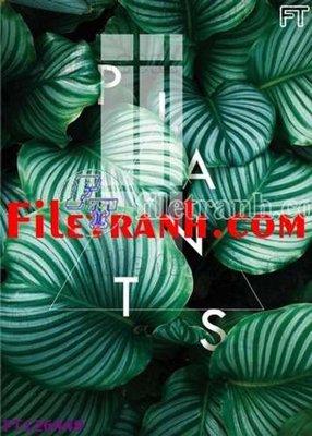 Tải file File tranh bộ hiện đại FT126449 (gốc) in ấn ngay lập tức