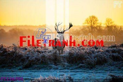 Download file gốc File tranh bộ hiện đại FT126701 (dùng cho in ấn)