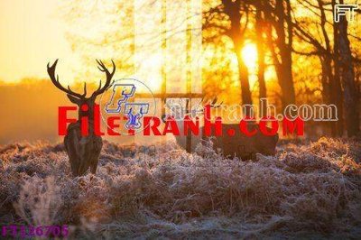 Tải về file gốc File tranh bộ hiện đại FT126705 (chuẩn in ấn)