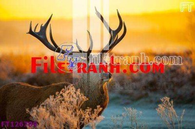 Tải file gốc File tranh bộ hiện đại FT126709 (in khổ lớn) quảng cáo