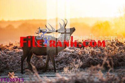 File PSD File tranh bộ hiện đại FT126713 (gốc) tách lớp chi tiết