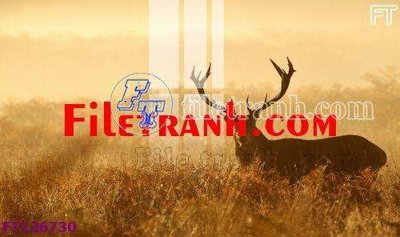 File in ấn File tranh bộ hiện đại FT126730 (bản gốc) từ file gốc