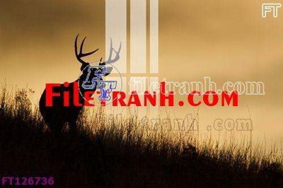 File tranh quảng cáo File tranh bộ hiện đại FT126736 (file gốc) chuyên nghiệp