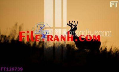 File in lụa File tranh bộ hiện đại FT126739 (tân cổ điển) File tranh bộ hiện đại FT126739