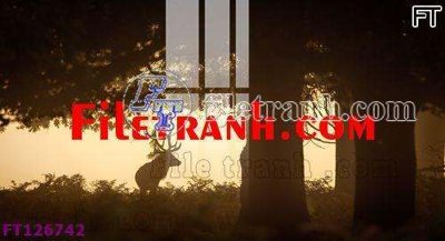 File gốc File tranh bộ hiện đại FT126742 (in tráng gương) ốp tường