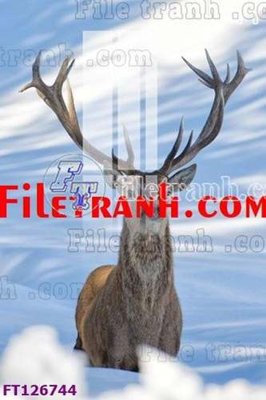 Ảnh gốc File tranh bộ hiện đại FT126744 (nét căng) in mica