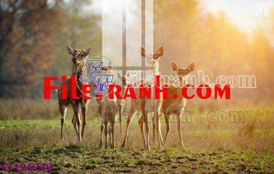 Tải file File tranh bộ hiện đại FT126749 (ảnh gốc) độ phân giải 300dpi