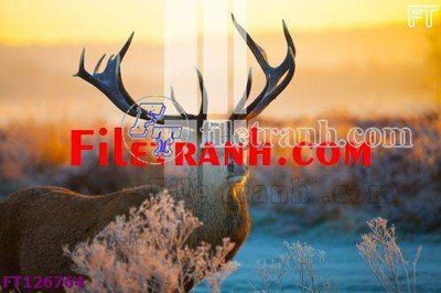 Hình ảnh file gốc File tranh bộ hiện đại FT126764 (chất lượng cao)