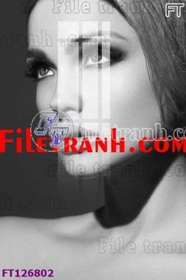 File tranh File tranh bộ hiện đại FT126802 (gốc) in trên kính