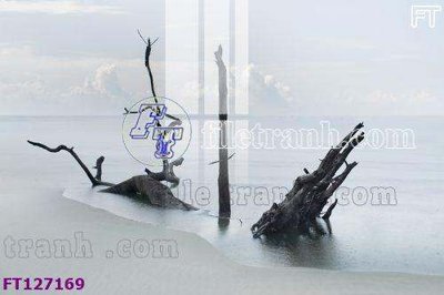 Chi tiết file tranh tráng gương File tranh bộ hiện đại FT127169 (ảnh gốc)