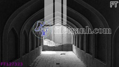 File tranh File tranh bộ hiện đại FT127323 (ảnh gốc) độ nét vượt trội