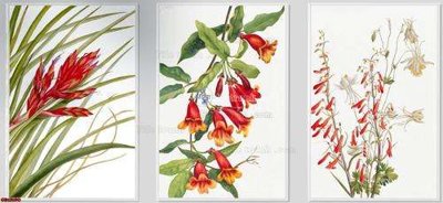 Hình ảnh file gốc in trần nhà File gốc in bộ tranh decor treo tráng gương canvas GB15190