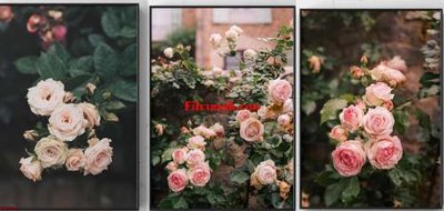 Ảnh gốc File gốc in bộ tranh decor treo tráng gương canvas GB15712 (độ nét cao) in mica