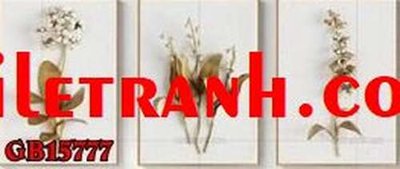 Ảnh gốc File gốc in bộ tranh decor treo tráng gương canvas GB15777 (nét căng) in mica