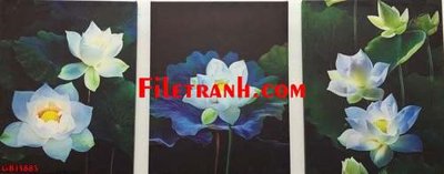 File tranh File gốc in bộ tranh decor treo tráng gương canvas GB15883 (gốc) phong cách tối giản